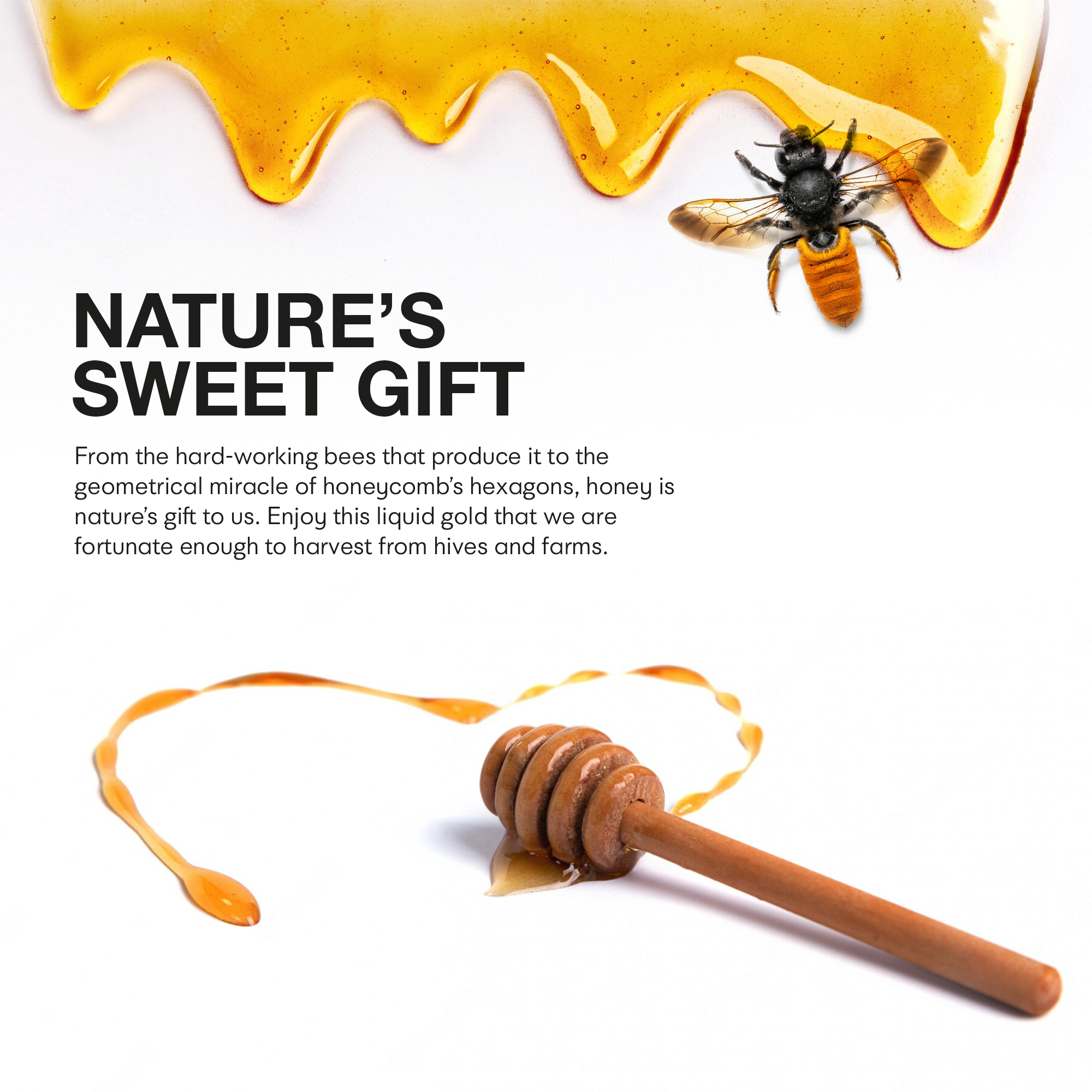 Emirelli | Squeezable Wildflower Honey